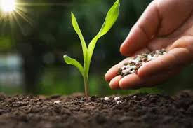 Smart and Sustainable Agriculture Solutions