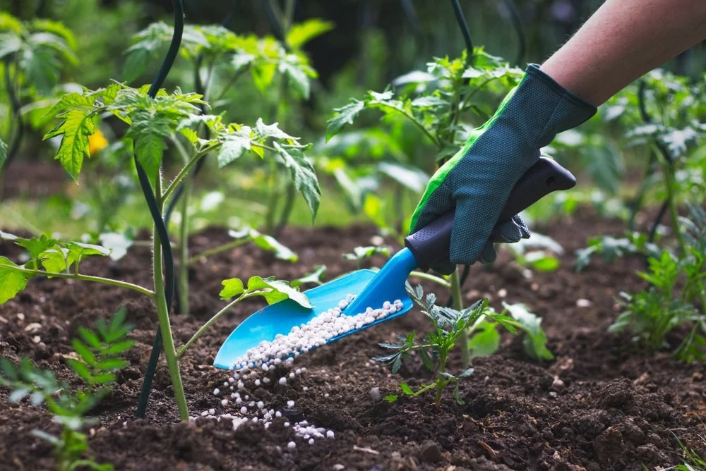 Smart and Sustainable Agriculture Solutions
